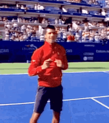 Novak Djokovic Dancing GIF