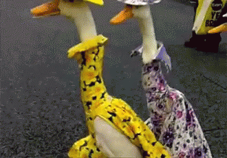 funny-animals-happy-easter.gif