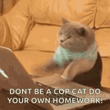 Cat Typing GIF - Cat Typing When Chatroom Is Lit GIFs