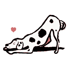 downsign falling in love dog dalmatian pet