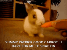 Bunny Nibble GIF - Bunny Nibble Carrot GIFs