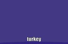 Turkey Ploryandyoop GIF