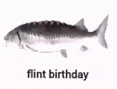 Flint Birthday Fish GIF