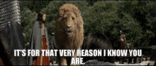Aslan Its For That Very Reason I Know You Are GIF - Aslan Its For That Very Reason I Know You Are The Chronicles Of Narnia Prince Caspian GIFs