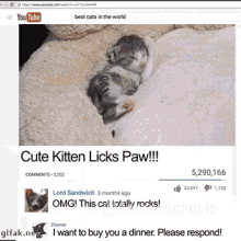 a video of a kitten licking paws is on youtube