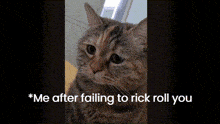 Really Sus Cat Sad Cat Rickroll GIF