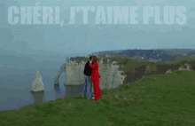a man and a woman are standing on top of a hill overlooking the ocean .