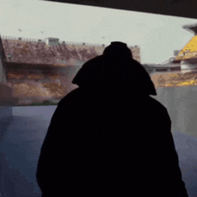 a silhouette of a person standing in a stadium