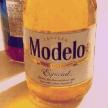 Modelo Beer GIF - Modelo Beer GIFs