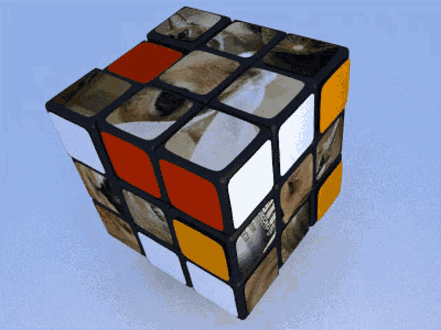 Oficina Steam::Floppa Cube (+ Sogga Cube)