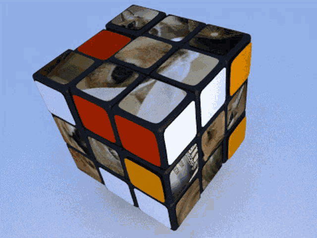 Floppa Cube GIF - Floppa Cube Saraiva - Discover & Share GIFs