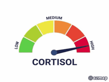 an illustration of a speedometer with the word cortisol at the bottom
