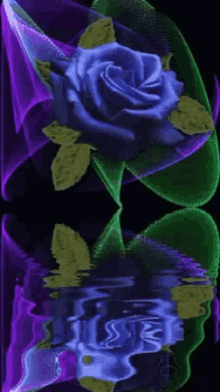 Blue Rose GIF - Blue Rose Reflection GIFs