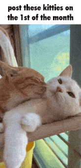 First Of The Month Kitties GIF - First Of The Month First Month GIFs