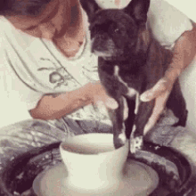 Cute Dog GIF - Cute Dog Pottery GIFs