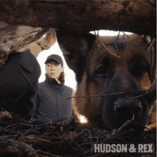 Found It Charlie Hudson GIF - Found It Charlie Hudson Hudson And Rex GIFs