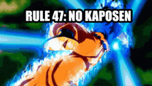 Kaposen No Kaposen GIF - Kaposen No Kaposen Rule GIFs