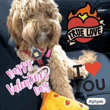 Happy Valentines Day Dog GIF - Happy Valentines Day Dog Love GIFs