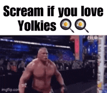a meme of a man screaming if you love yolkies .