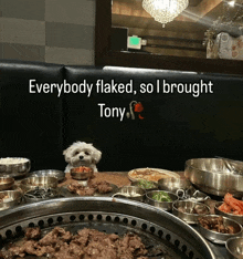 a small white dog sits in front of a table of food with the words everybody flaked so i brought tony