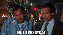 Cousin Eddie Cat Christmas Vacation Cat GIF - Cousin Eddie Cat Christmas Vacation Cat Fried Cat Eddie GIFs