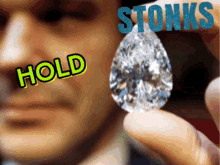 Stonks Hold GIF - Stonks Hold Diamond GIFs