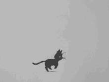 a black and white drawing of a cat running on a white background