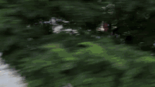 a blurry picture of a tree in front of a house