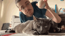 Annoying Pet GIF - Annoying Pet Boop GIFs