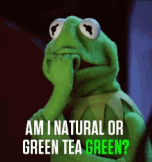 Kermit Green GIF - Kermit Green Tea GIFs