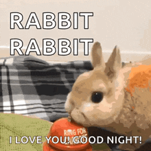 Bunny Rabbit Carrot Bell GIF