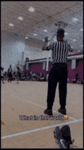 Referee Basketball GIF - Referee Basketball Ladies Alright GIFs