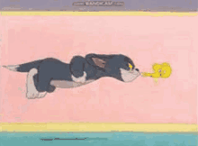 Tom And Jerry Tweetie GIF