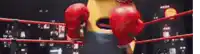 a cartoon character wearing boxing gloves in a boxing ring .