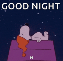a cartoon of snoopy laying on a purple blanket with the words good night n below him
