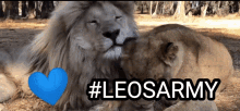 Leos Leo GIF - Leos Leo Army GIFs