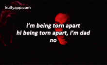 I'M Being Torn Aparthi Being Torn Apart, I'M Dadno.Gif GIF - I'M Being Torn Aparthi Being Torn Apart I'M Dadno Text GIFs