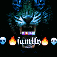 a picture of a tiger with flames and the words family