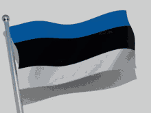 Estonia Flag Of Estonia GIF - Estonia Flag Of Estonia Flag GIFs