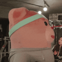 a pink teddy bear wearing a headband and pants