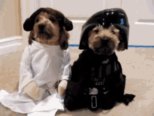 Princess Leia & Darth Vader GIF - Starwars Dogs Halloween GIFs