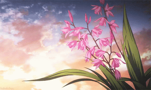 Aesthetic Anime Flower Screen anime blue aesthetic HD phone wallpaper   Pxfuel