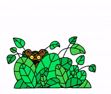 cheetah look hide peek cheetah look hide peek