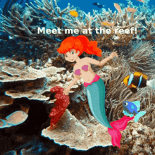 Mermaid Underwater GIF - Mermaid Underwater Swimming GIFs