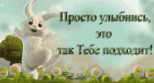 улыбка заяц зайчик улыбнись радость GIF - Ulibka Ulibnis Zayats GIFs