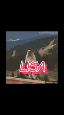Lisa Marmot GIF