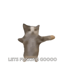 a cat is jumping in the air with the words lets fucking goooo written below it