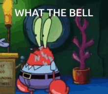 What The Bell GIF - What The Bell GIFs