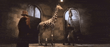 Wonka Wtf Is Wrong With Him GIF - Wonka Wtf Is Wrong With Him Giraffe Scene GIFs