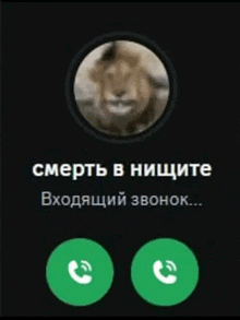 a phone screen with a picture of a lion and the words " смерть в нищите "